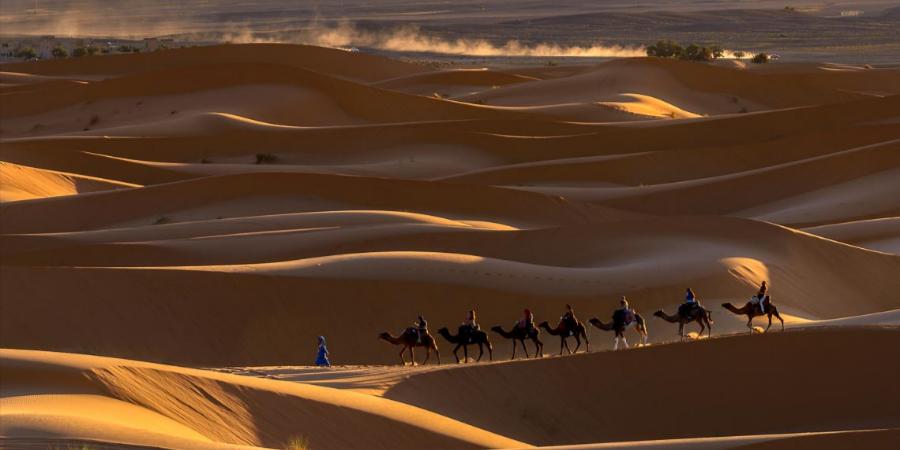Passeggiata nel deserto